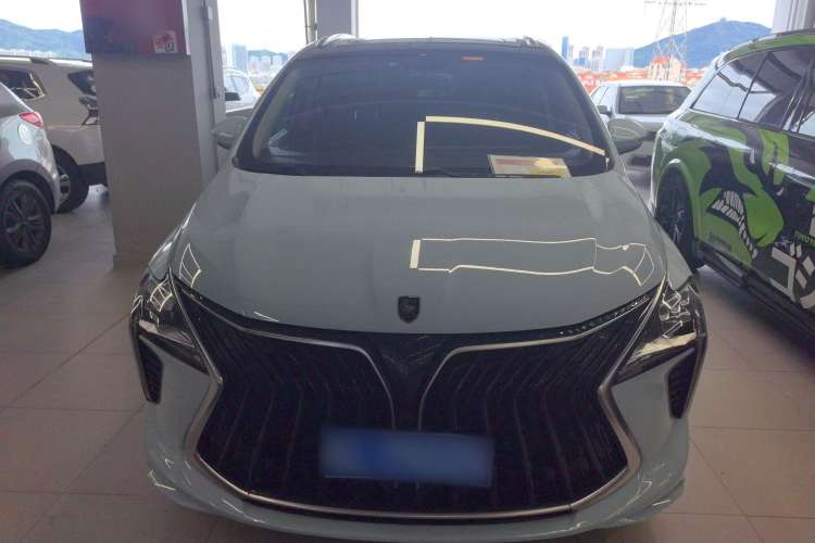 Used FORTHING Yacht 2022 1.5T DCT Yangfan Edition
