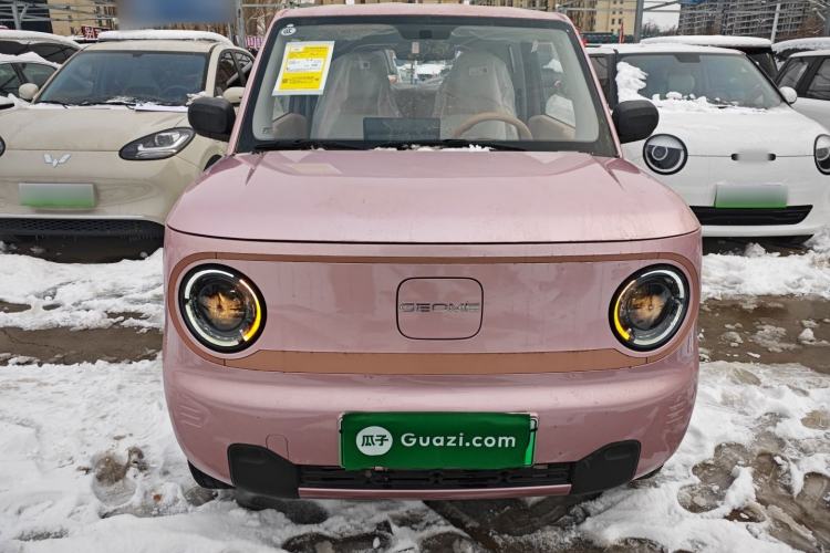 Used  Panda 2024 Panda Mini 200km Endurance Bear
