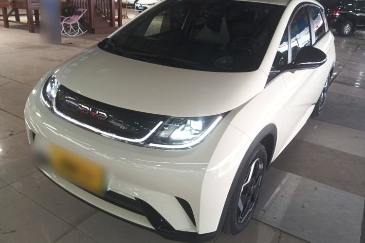 Used BYD Dolphin 2024 Honor Edition 420km Freedom Version