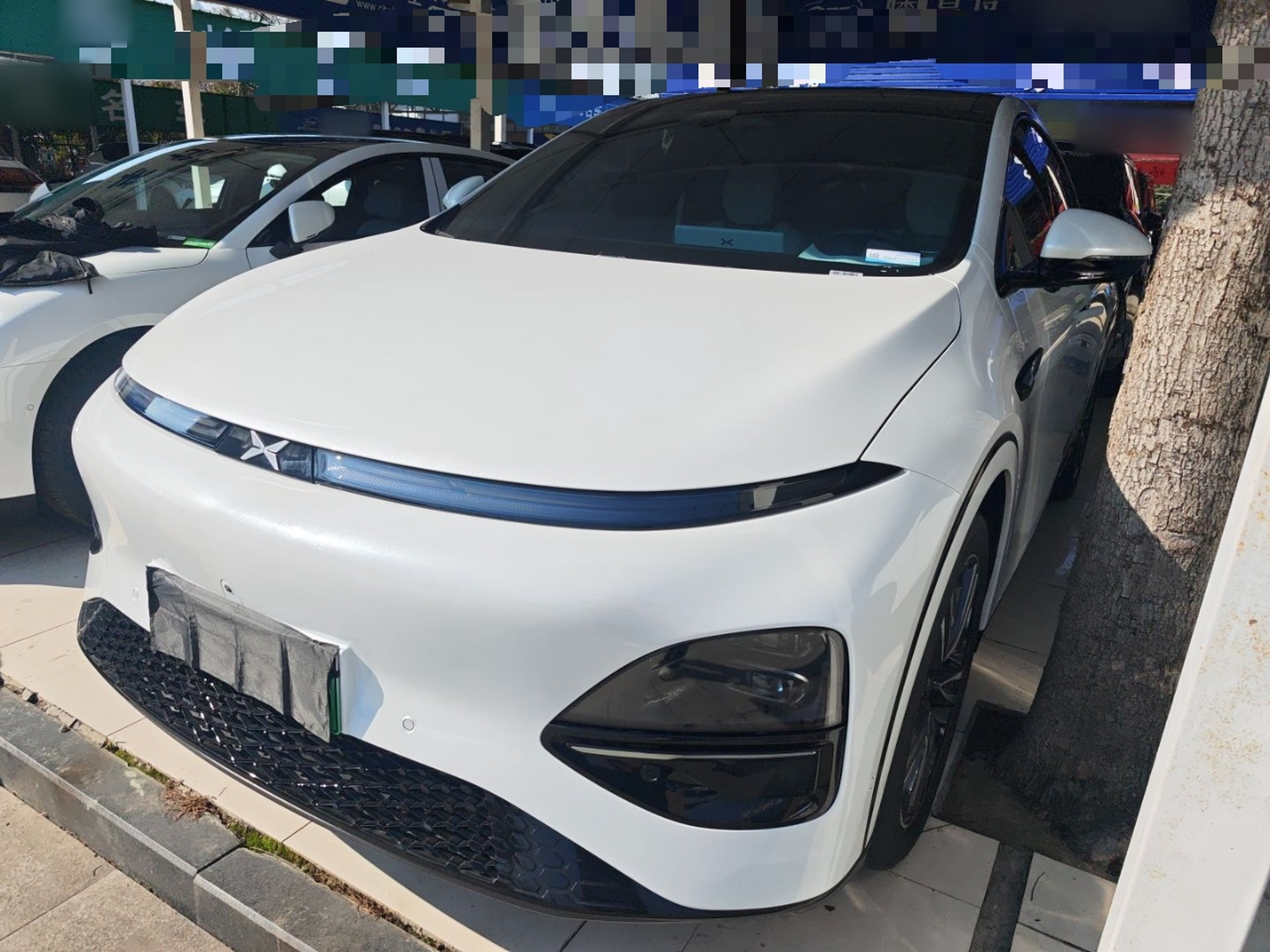 تحت مقدمة السيارة