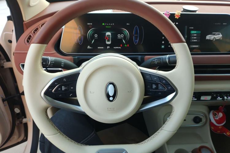 Used ORA Good Cat 2023 401 km Standard Range Luxury Version Lithium Iron Phosphate
