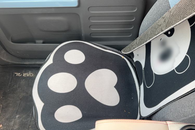 Used  Panda 2023 Panda Mini 200km Endurance Bear
