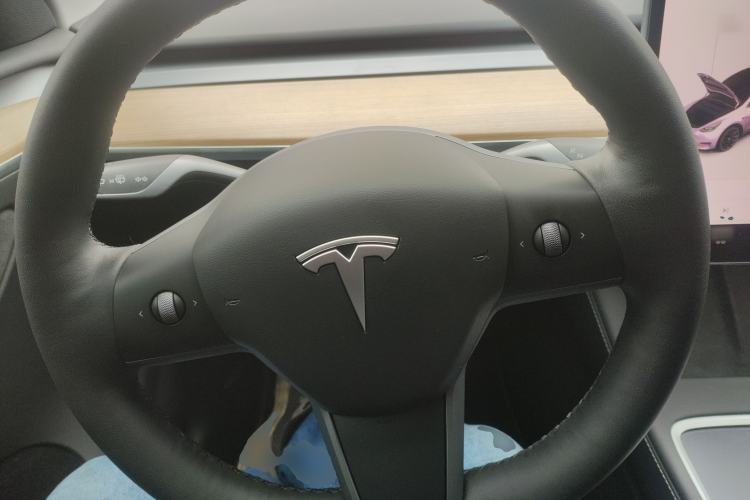 Used Tesla Model Y 2021 Standard Range Rear-Wheel Drive Version