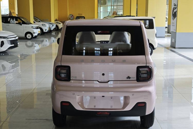 Used  Panda 2024 Panda Mini 200km Endurance Bear
