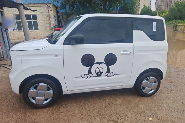 Used  Panda 2023 Panda Mini 120km Cute Bear
