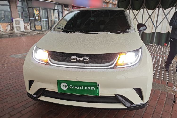 Used BYD Dolphin 2025 420km Free Edition
