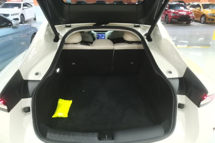 Used  L6 2024 Max Extended-Range Version
