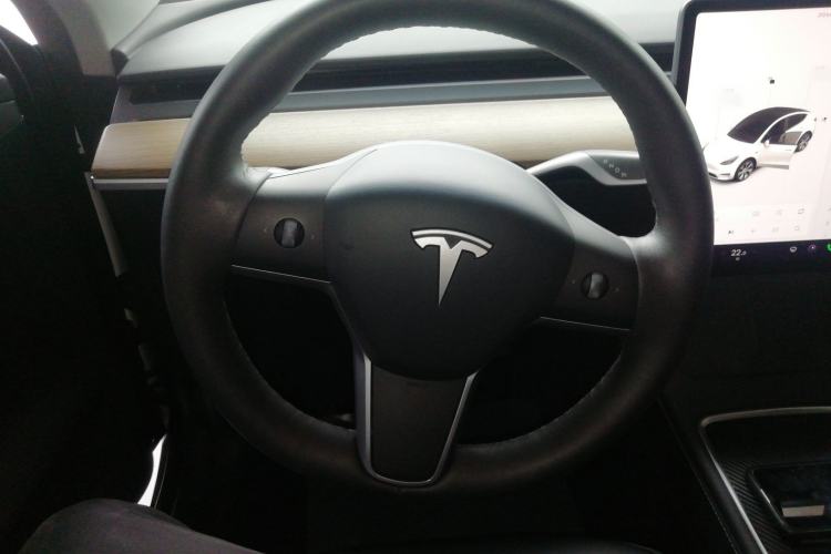 Used Tesla Model Y 2021 Standard Range Rear-Wheel Drive Version
