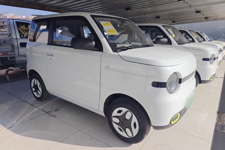Used  Panda 2025 210 km – Yuanqi Bear