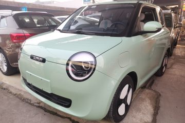 Used Qiyuan Lumin 2023 301km Honey Dew Edition