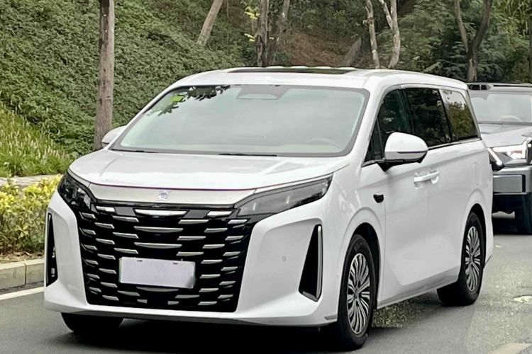 Used BYD Xia 2025 DM-i 1.5T 180km Excellence Model