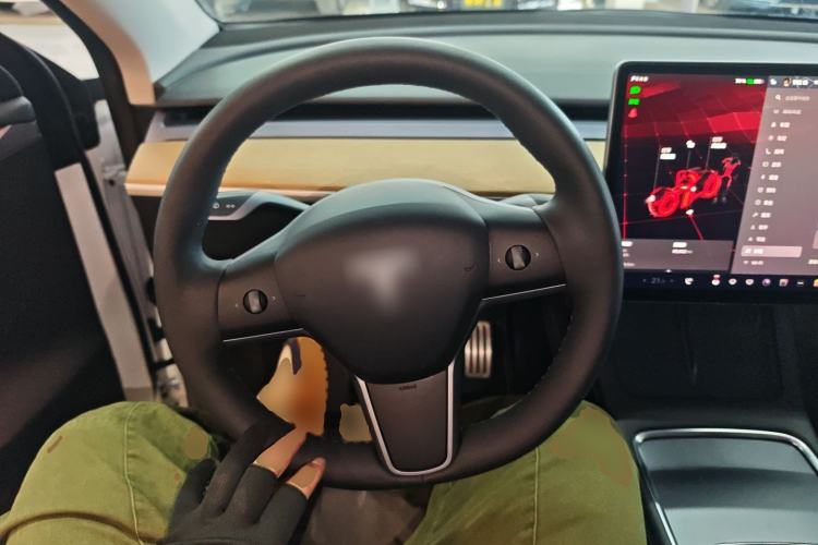 Used Tesla Model Y 2022 Performance High-Performance All-Wheel-Drive Version
