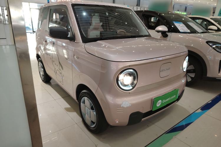 Used  Panda 2024 Panda Mini 200km Longteng PRO Edition
