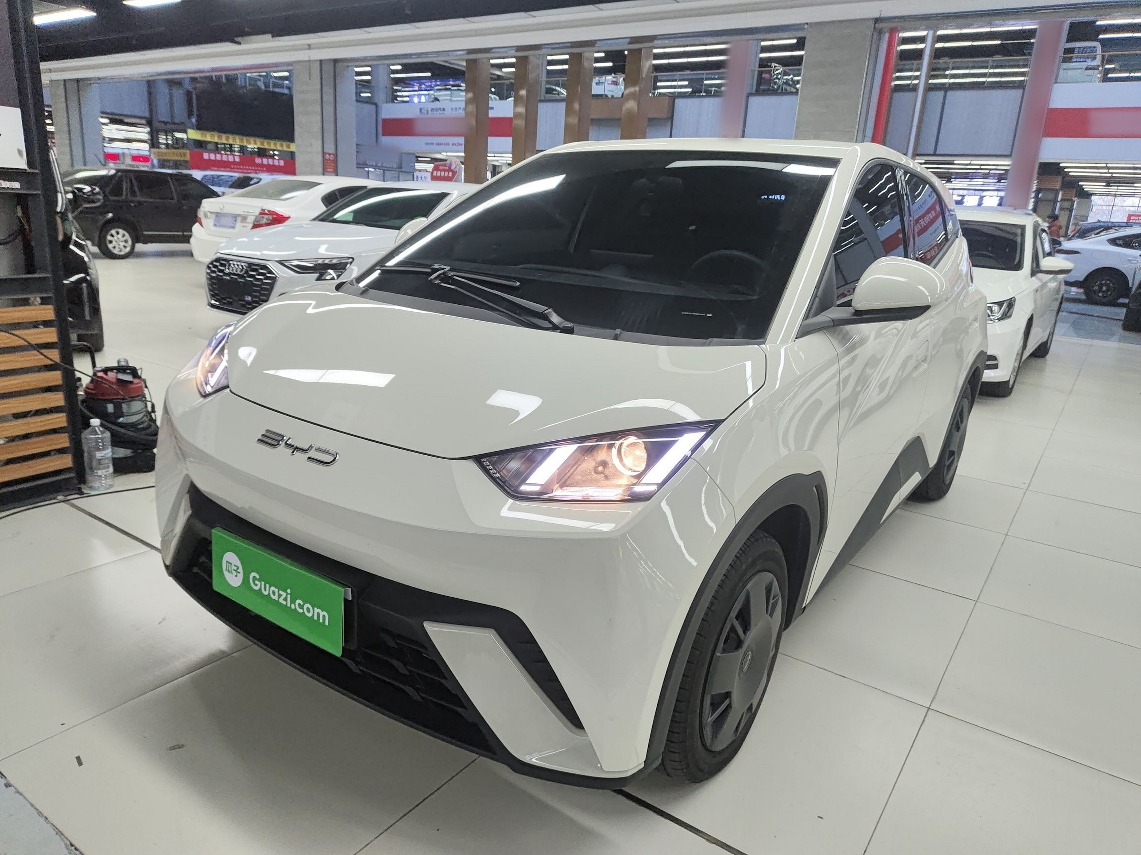 تحت مقدمة السيارة