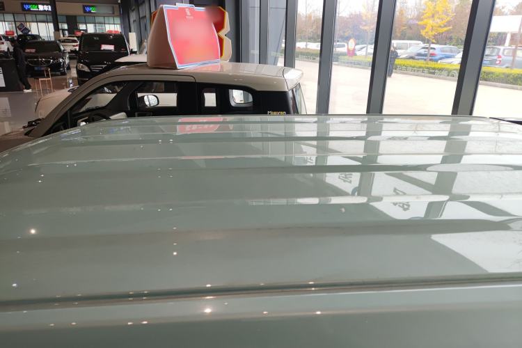 Used  Panda 2025 210 km – Yuanqi Bear
