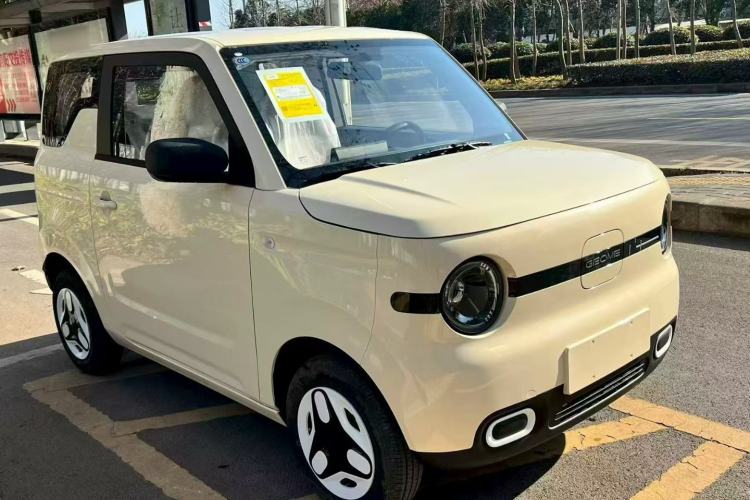 Used  Panda 2025 210 km – Yuanqi Bear
