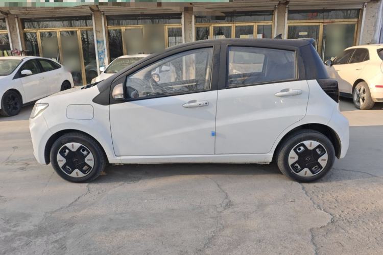 Used SOL E10X 2022 Flower Fairy Design Dandelion