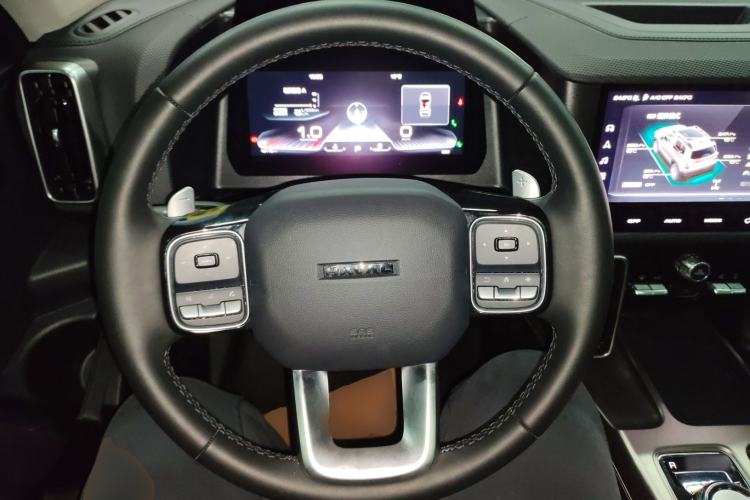 Used Haval DARGO 2024 2.0T DCT Chinese Rural Dog Edition