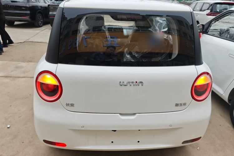 Used Qiyuan Lumin 2024 130km Qingyue Version