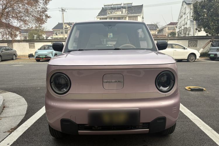 Used  Panda 2023 Panda Mini 200km Endurance Bear