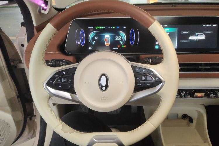 Used ORA Good Cat 2022 Morandi Edition 400km Standard Range Premium Version Lithium Iron Phosphate
