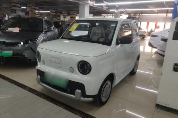 Used Livan Blue Balloon 2025 Model Dynamic Version