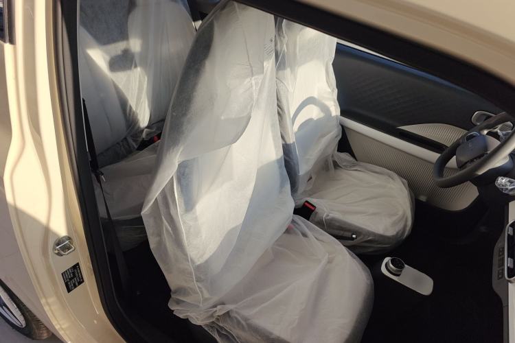 Used  Panda 2025 210 km – Yuanqi Bear