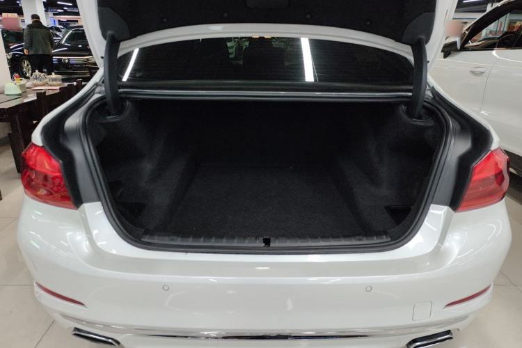 Used BMW 5 Series 2020 530Li Luxury Edition Premium Package