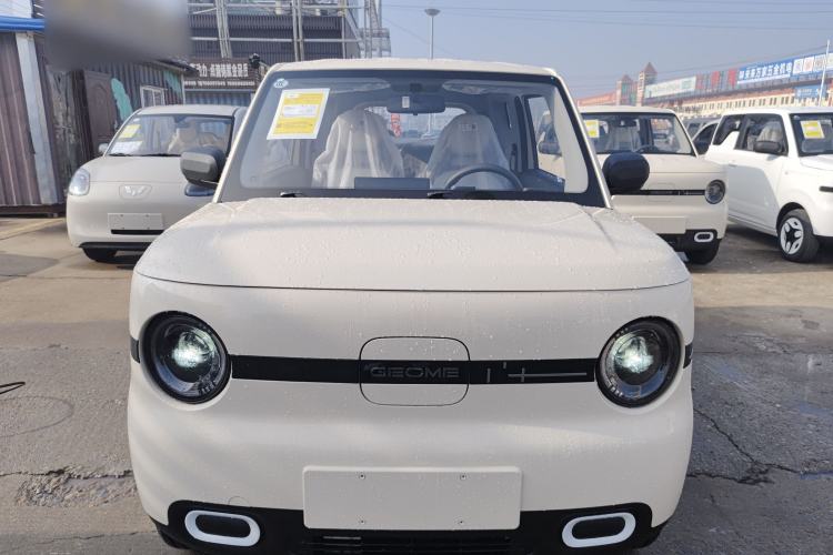 Used  Panda 2025 210 km – Yuanqi Bear
