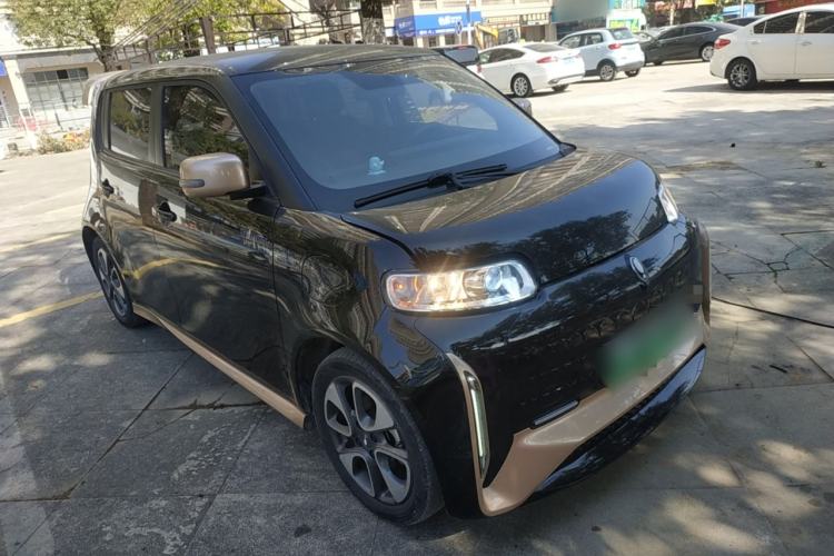 Used ORA White Cat 2022 Xiaoyue Mao Edition 360 km Luxury Model Lithium NMC
