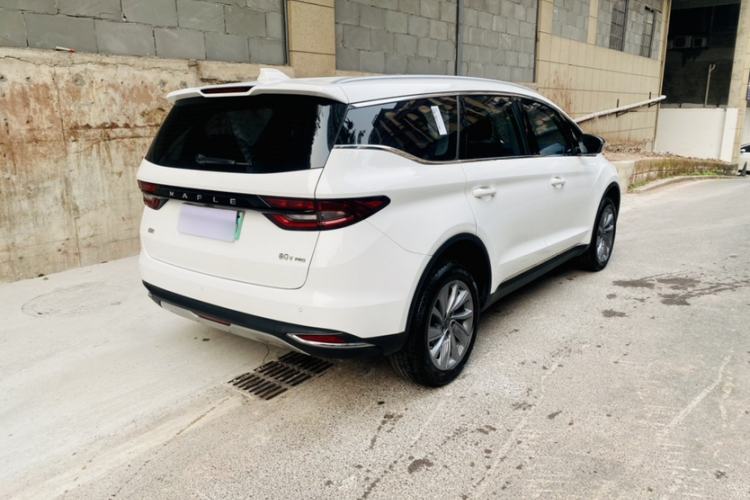 Used Livan Maple 80v PRO 2022 Comfort Edition Standard Range Version
