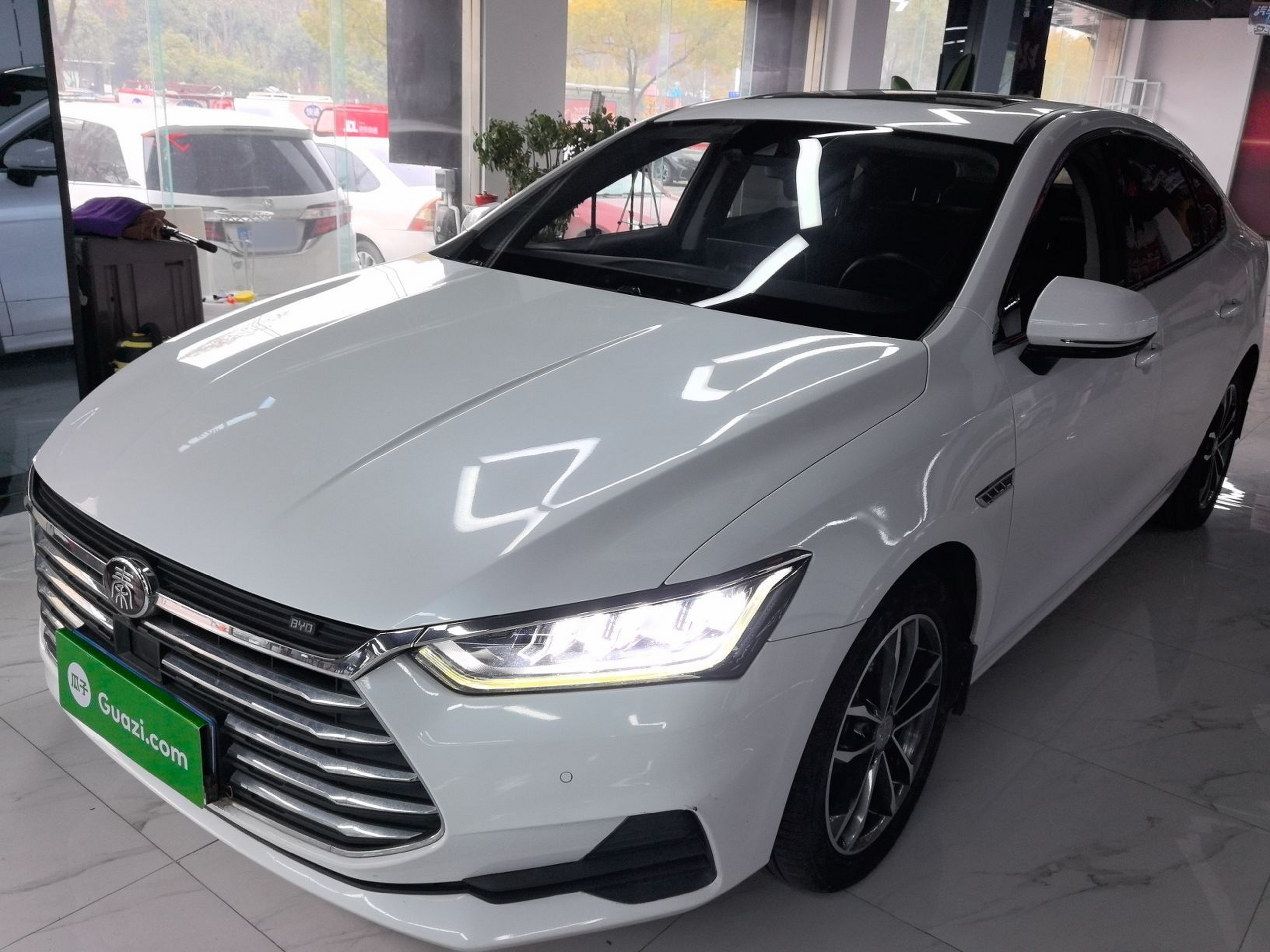 تحت مقدمة السيارة