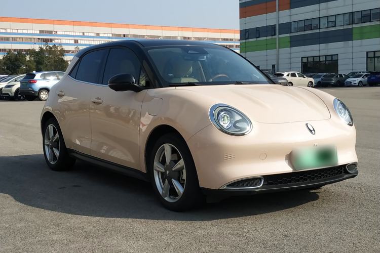 Used ORA Good Cat 2022 Morandi Edition 400km Standard Range Premium Version Lithium Iron Phosphate