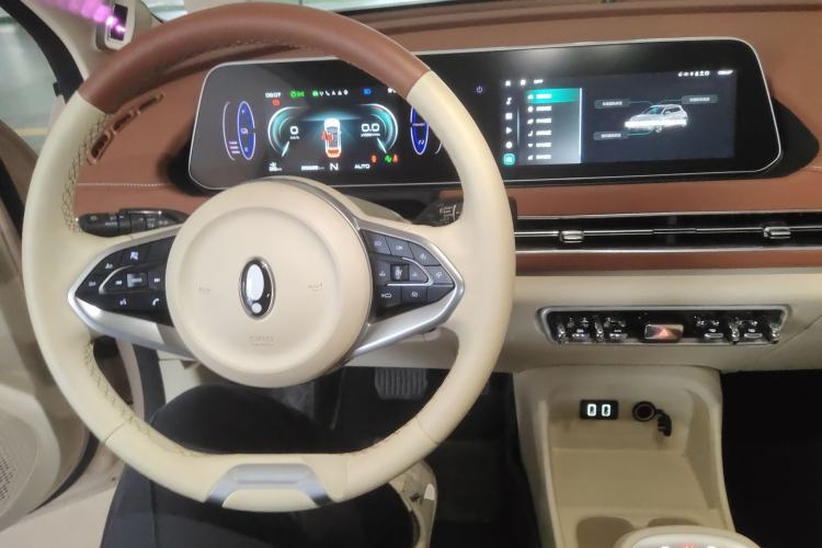 Used ORA Good Cat 2022 Morandi Edition 400km Standard Range Premium Version Lithium Iron Phosphate
