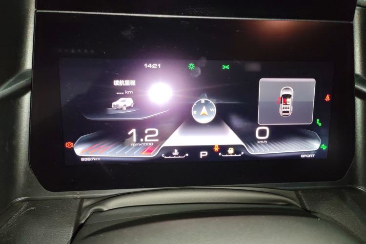 Used Haval DARGO 2024 2.0T DCT Chinese Rural Dog Edition
