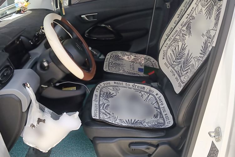 Used Leapmotor T03 2020 400 Luxury Edition
