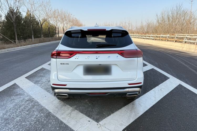 Used Haval H6 2023 National Trend Edition 1.5T Automatic Urban Version
