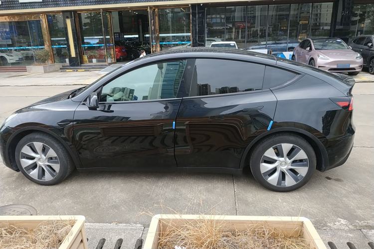 Used Tesla Model Y 2021 Standard Range Rear-Wheel Drive Version
