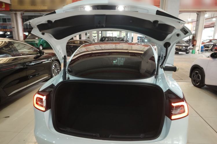 Used Tesla Model 3 2022 Rear-Wheel-Drive Version