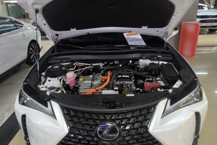 Used Lexus UX New Energy 2020 300e Pure·Joy Edition
