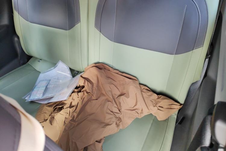 Used  Panda 2024 200km Panda Rider