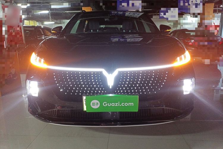 Used VOYAH COURAGE 2024 Four-Wheel Drive Global Edition