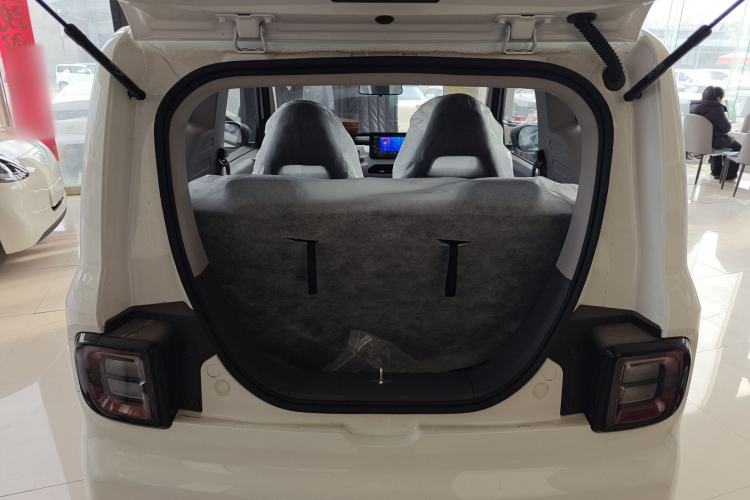 Used  Panda 2024 Panda Mini 200km Endurance Bear