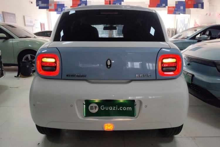 Used ORA Black Cat 2022 351 km Comfort Version Ternary Lithium
