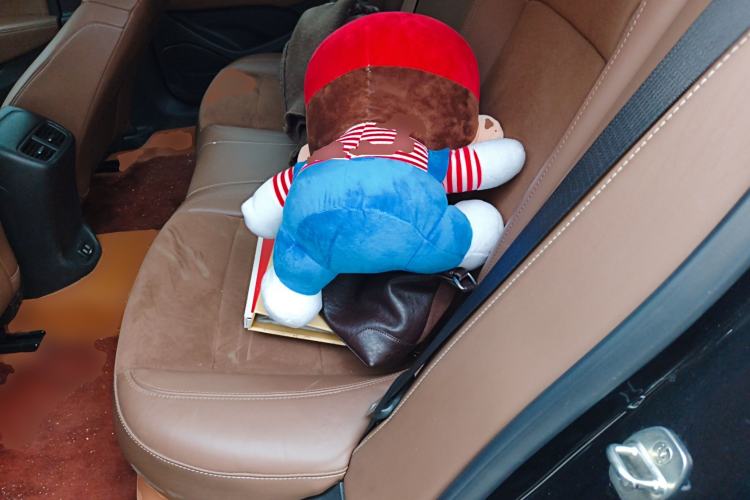 Used Buick Regal 2019 20T Elite Version China VI Standard