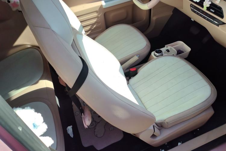 Used  Panda 2023 Panda Mini 200km Endurance Bear