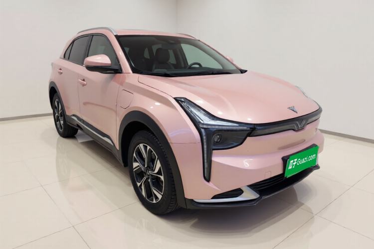 Used NETA U 2022 NETA U-Ⅱ 500 Lithium Iron Phosphate