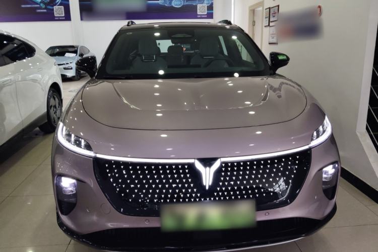 Used VOYAH COURAGE 2024 Four-Wheel Drive Global Edition
