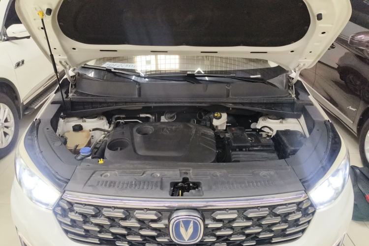 Used Changan CS55 2019 1.5T Automatic Colorful Edition China VI Standard
