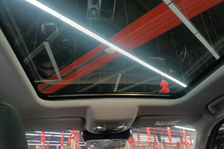 Used Haval DARGO 2024 2.0T DCT Chinese Rural Dog Edition
